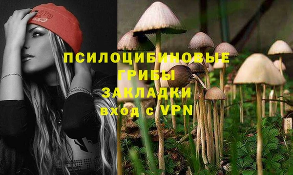 не бодяженный Верхний Тагил