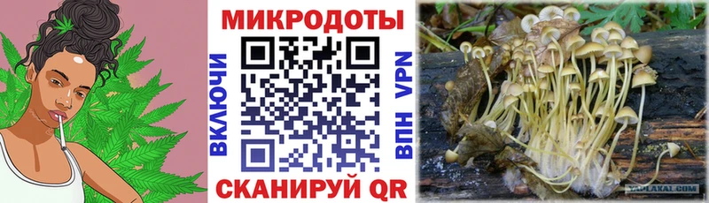 Галлюциногенные грибы GOLDEN TEACHER  купить наркотик  blacksprut как зайти  Ярославль 